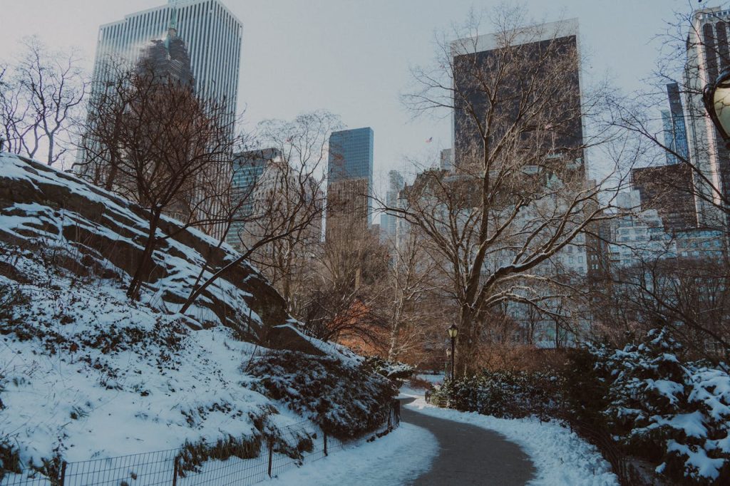 newyork in winter