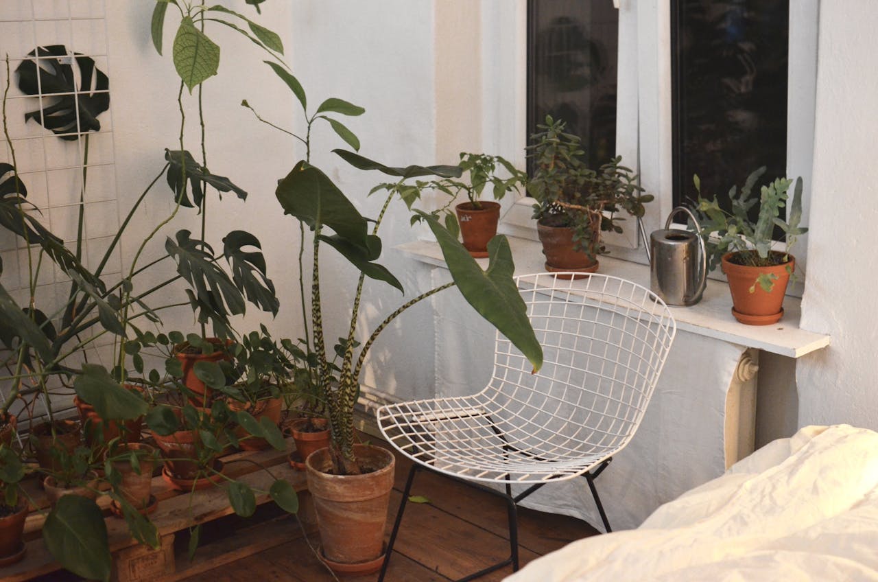 Gardeners Can’t Stop Growing These Low-Maintenance Plants in Water