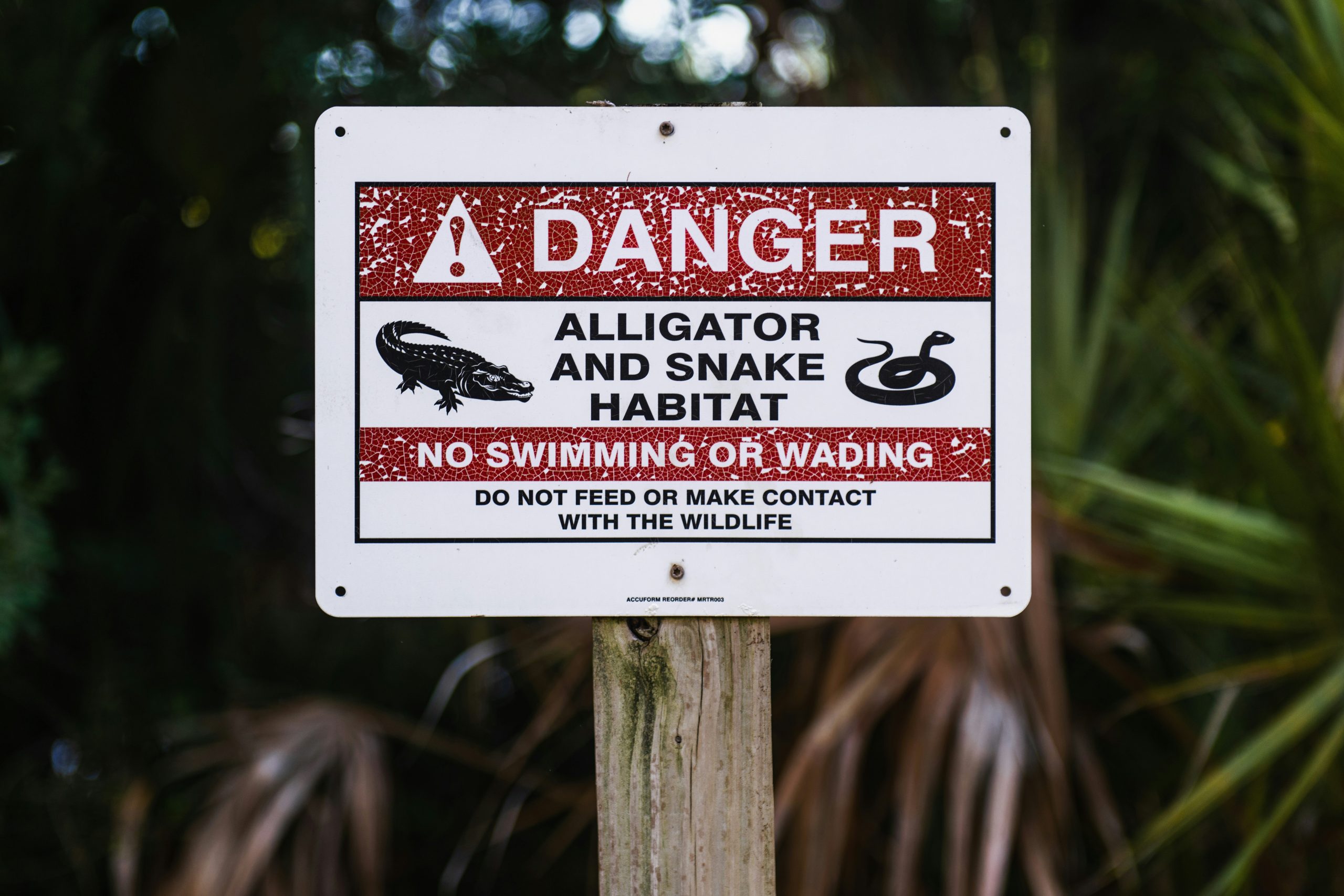 report invasive species Florida app