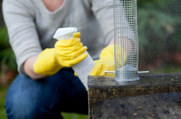 feeder cleaning