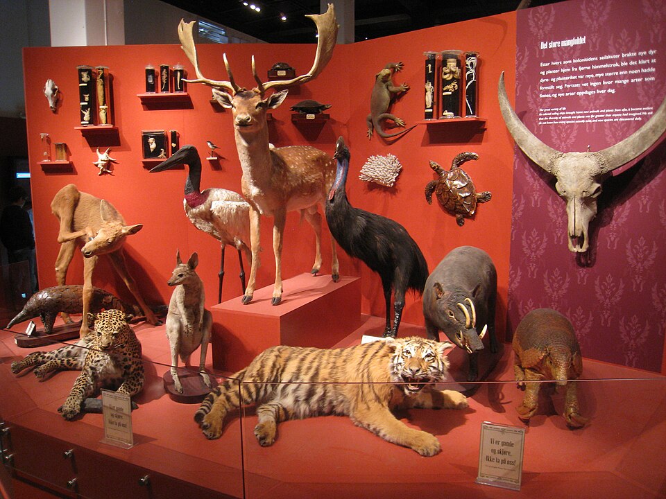 Oslo_Zoological_Museum