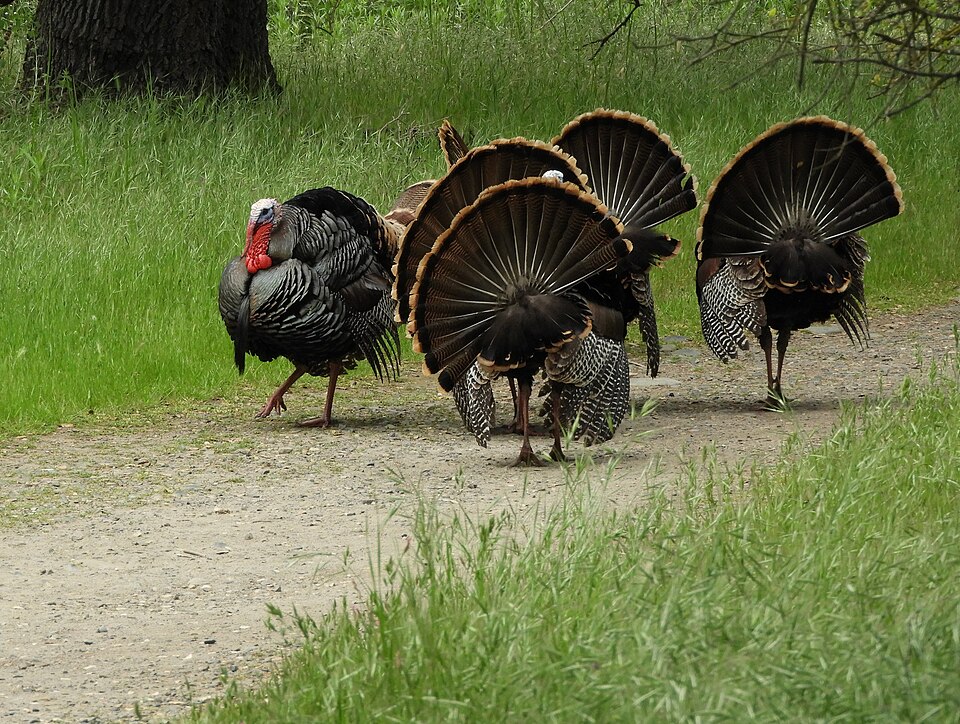 The Research Push Could Reshape Policy Decisions