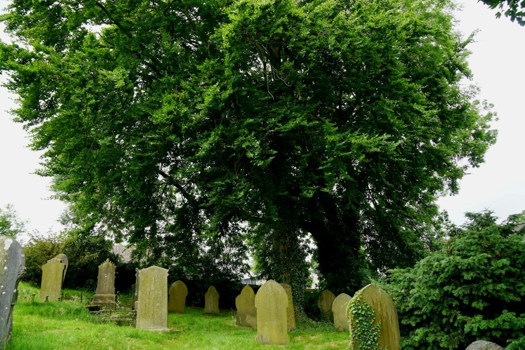 green burials