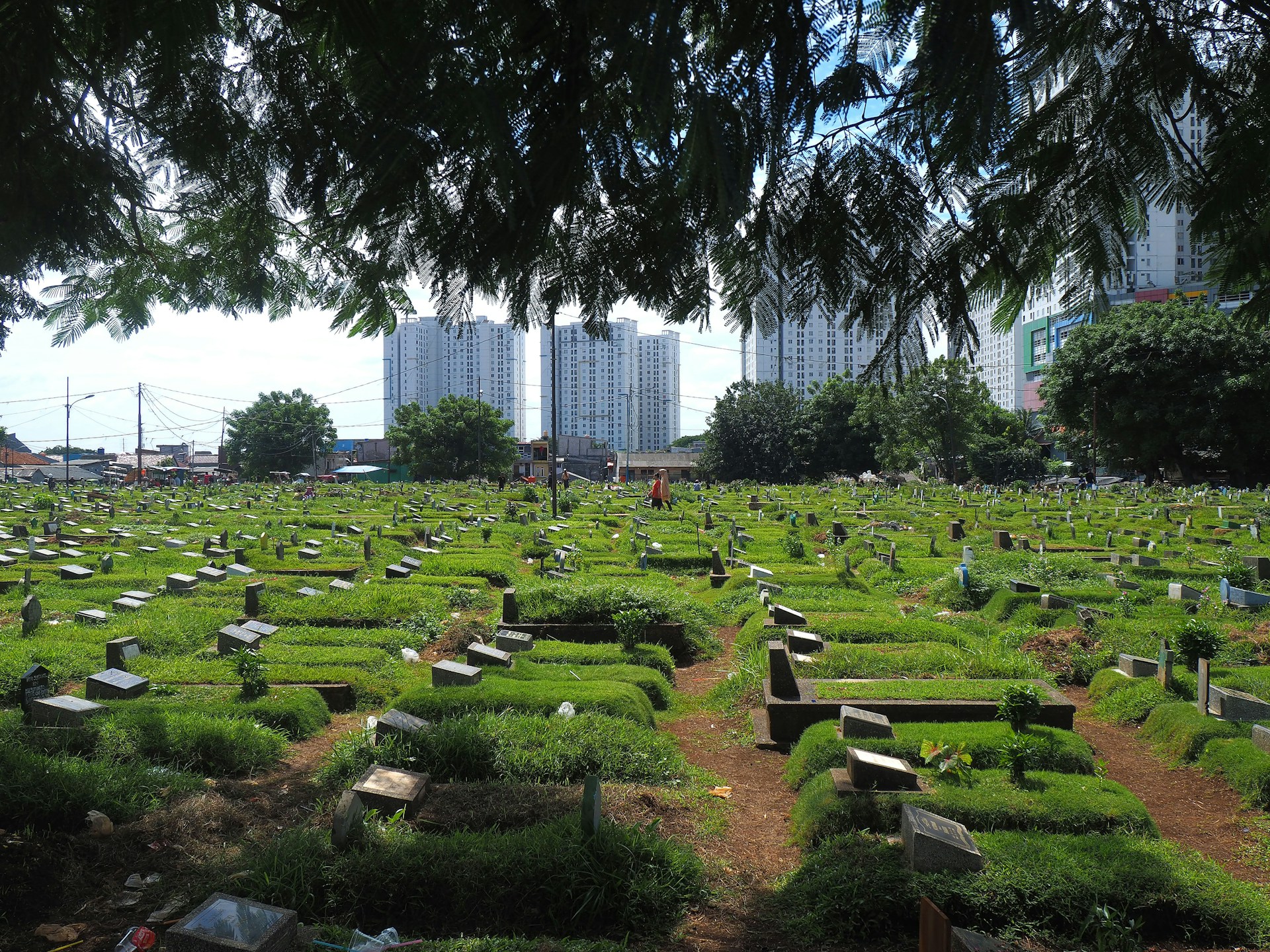 green burials