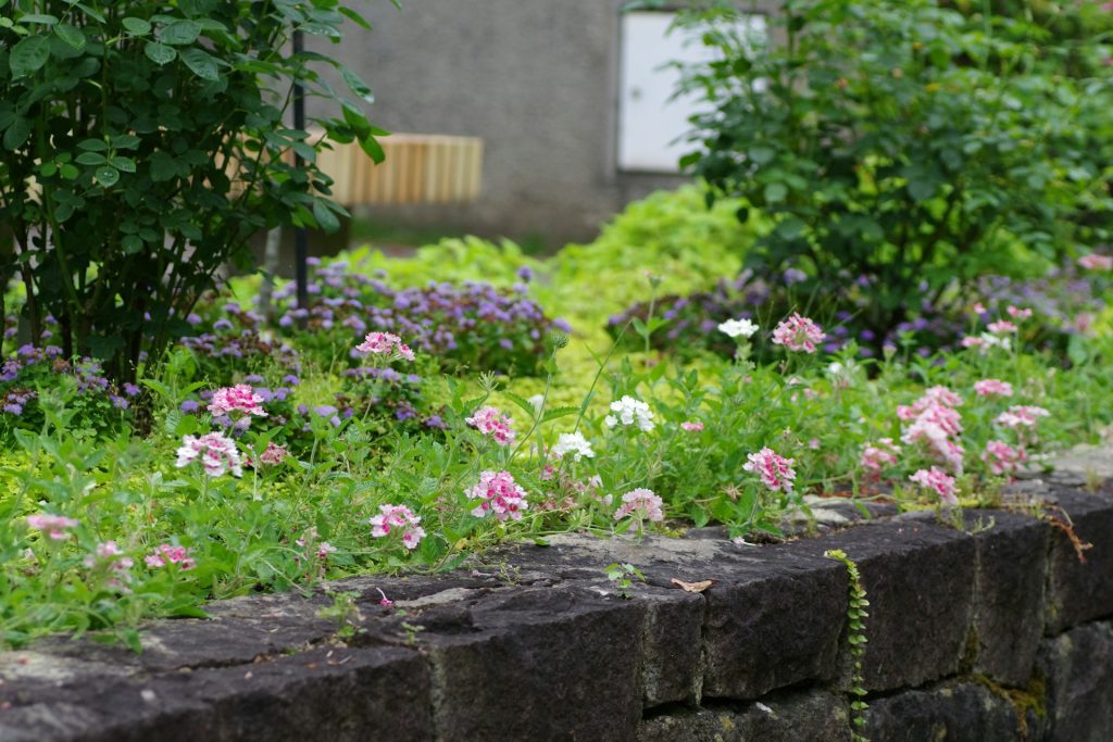 continuous bloom garden