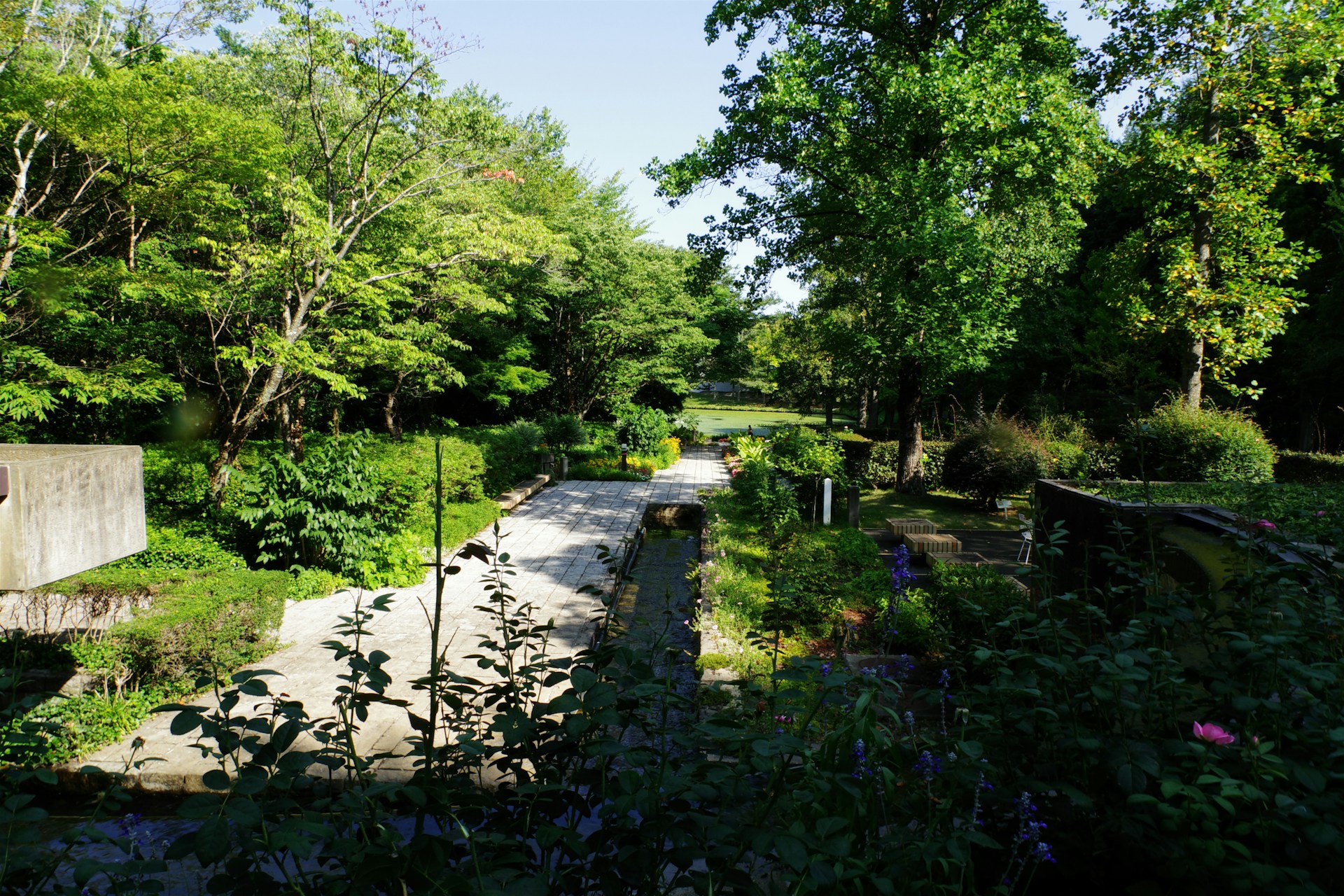Sustainable Yard Design Starts With Low-Water Plants and Native Shade