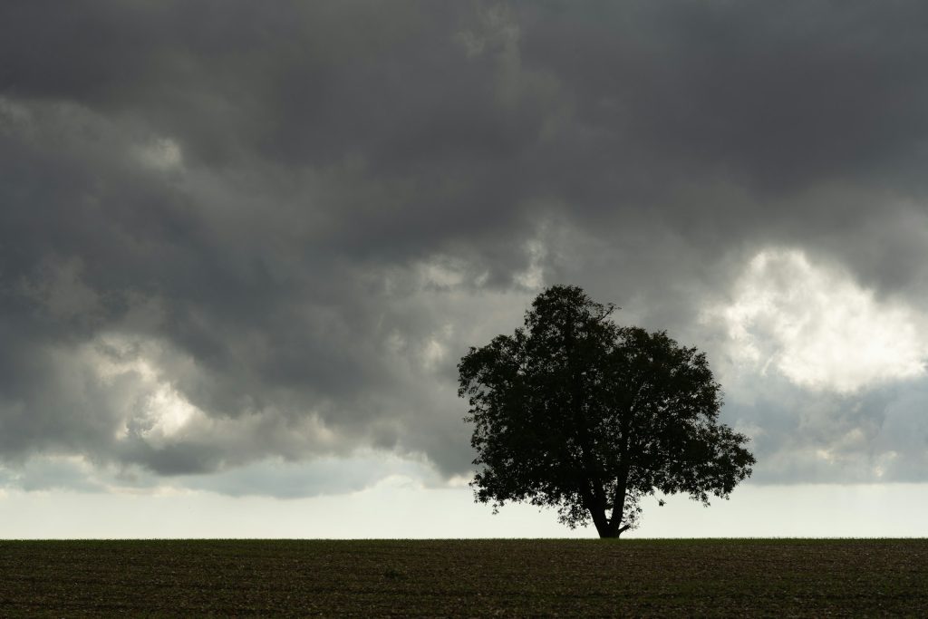 lone tree storm