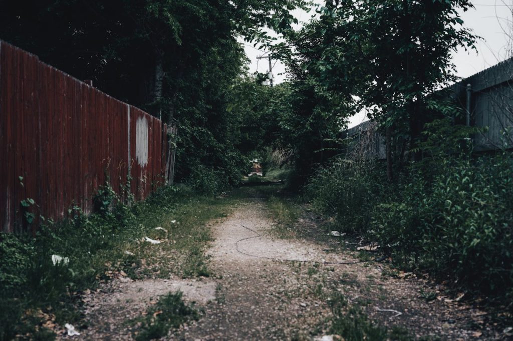 brush pile garden path yard waste branches