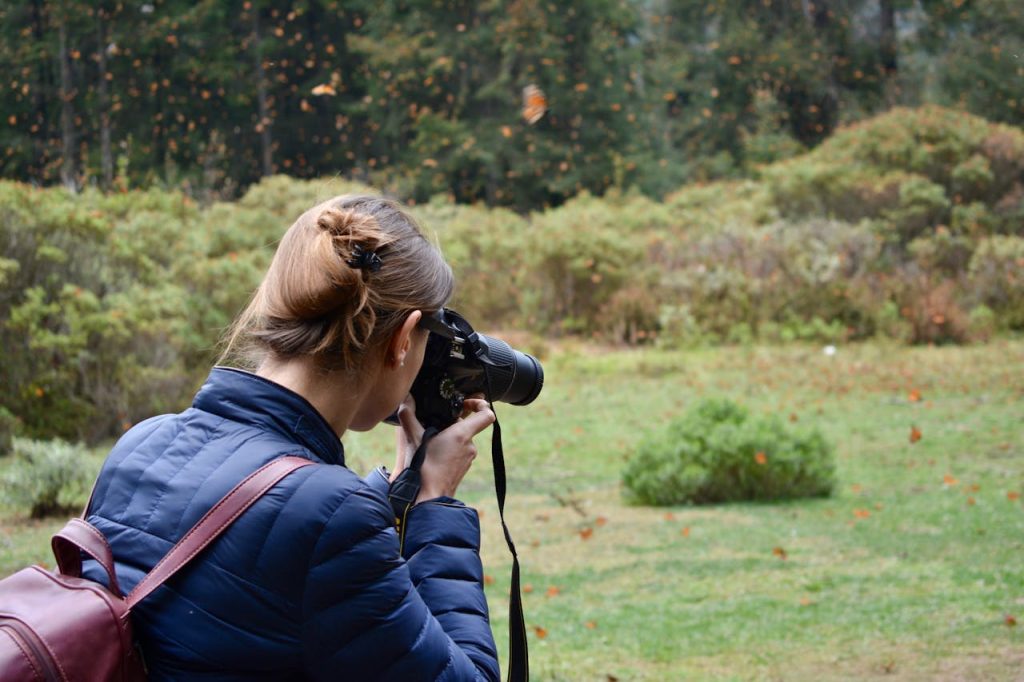 wildlife photographer