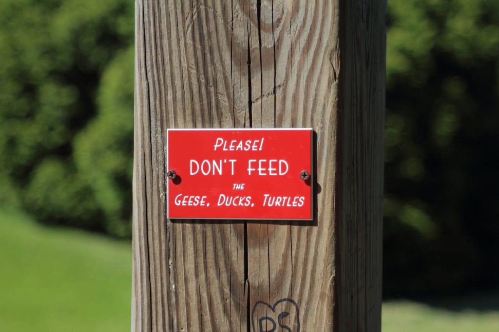 no feeding wildlife sign deer
