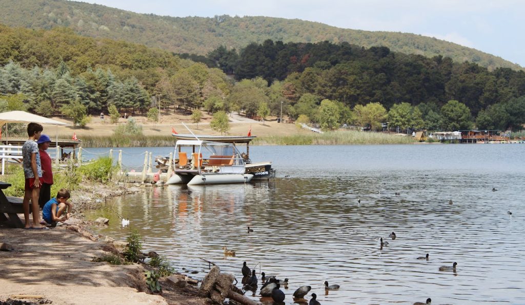 busy boat ramp trailers