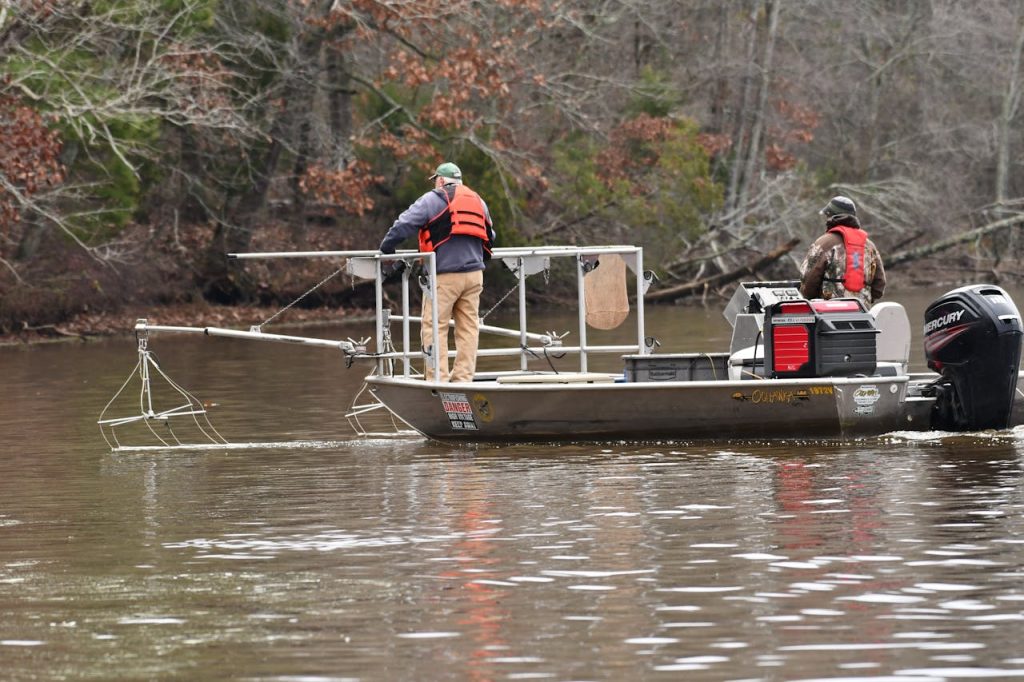 conservation team wetland fieldwork