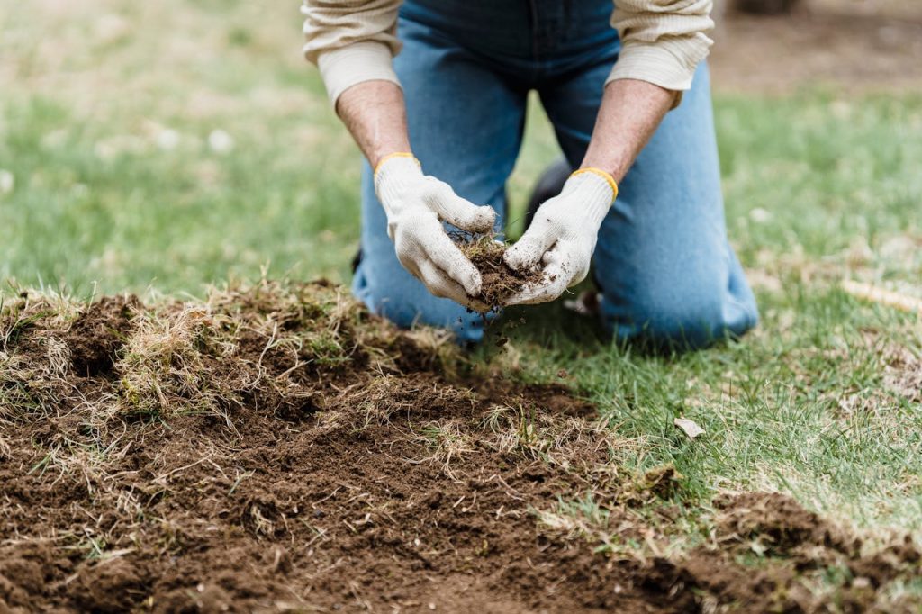 garden mulch close up