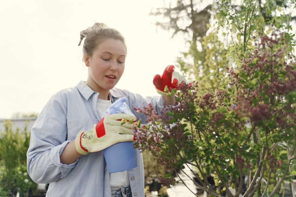 gardener checking plant leaves pests