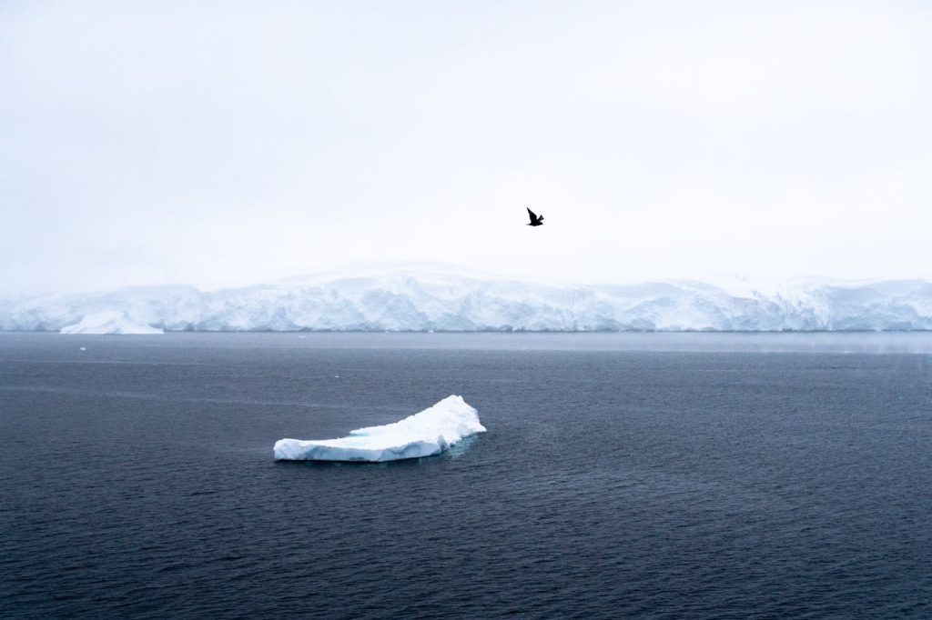 antarctic sea