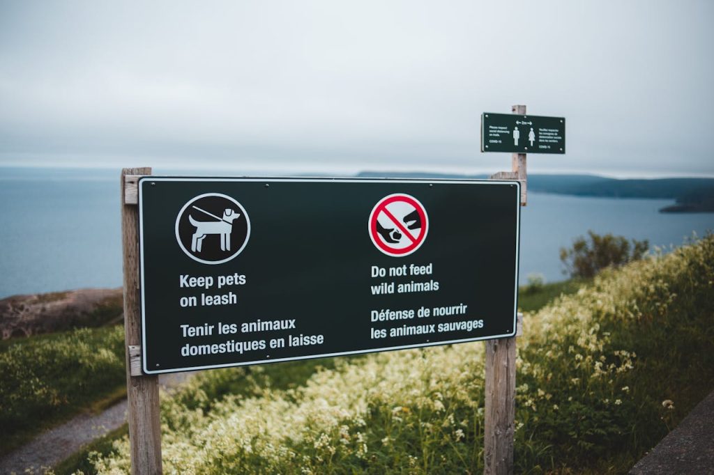 do not feed wildlife sign