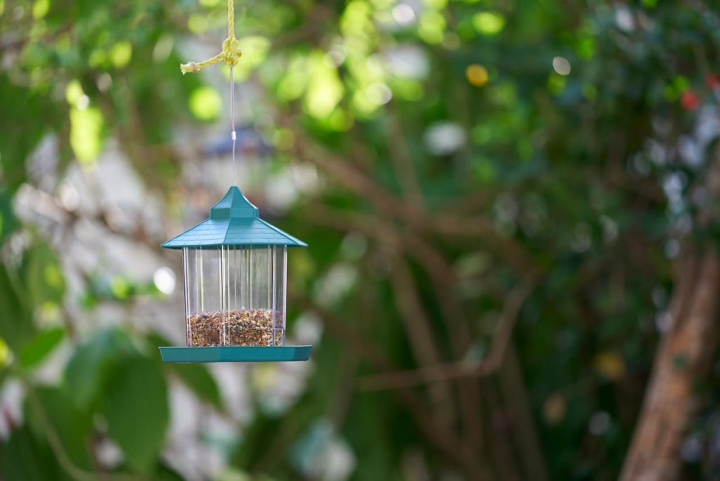 bird feeder garden setup