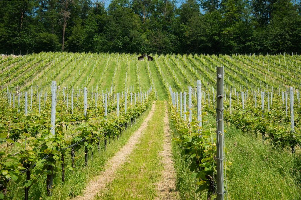 agriculture fence crop safety