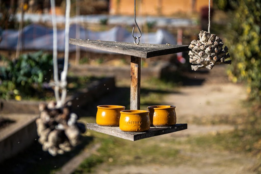 bird feeder near window