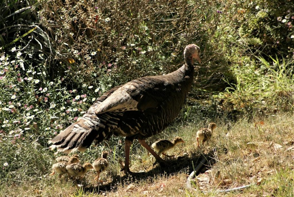 Productivity Is Not the Same as Population Strength