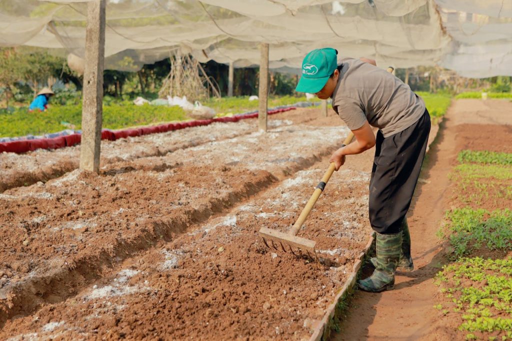 garden bed preparation rake soil