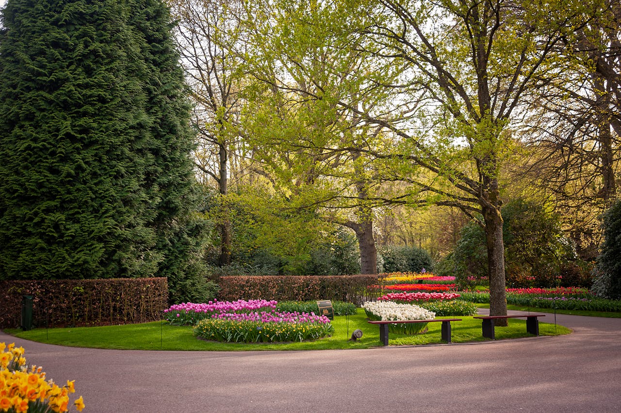 colorful winter garden path