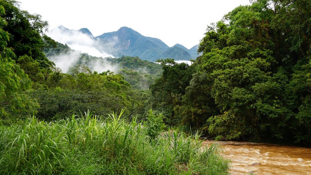 tropical forest conservation landscape