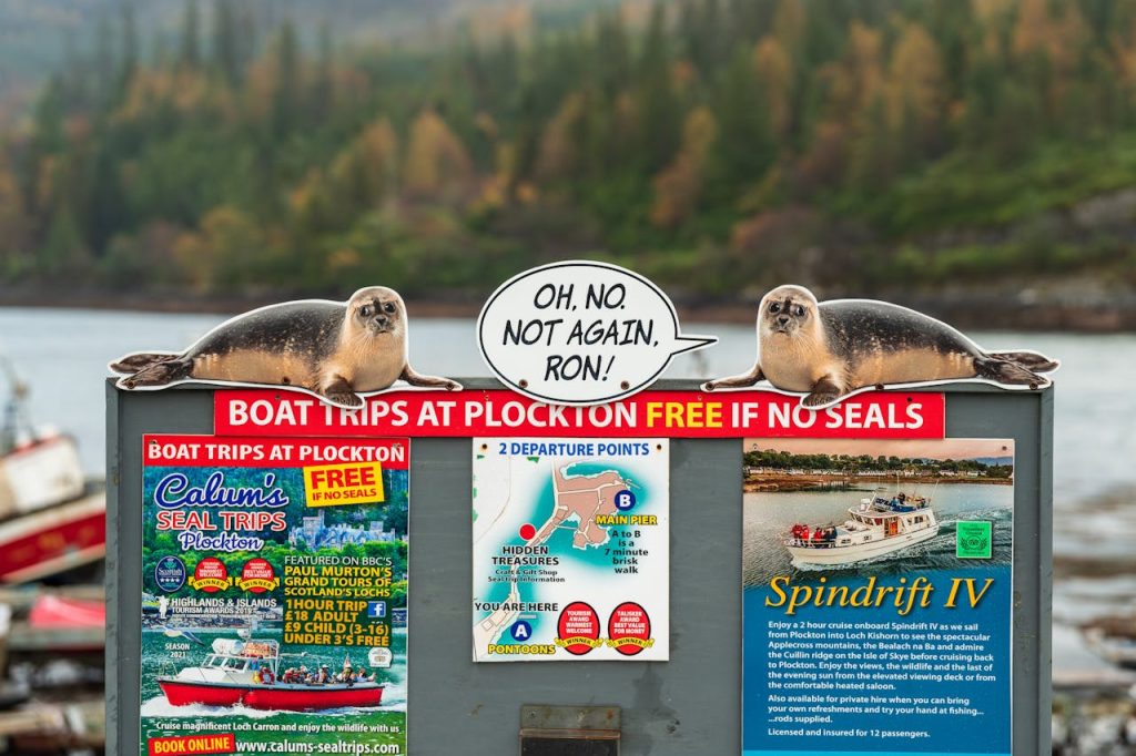 boat inspection seal tag