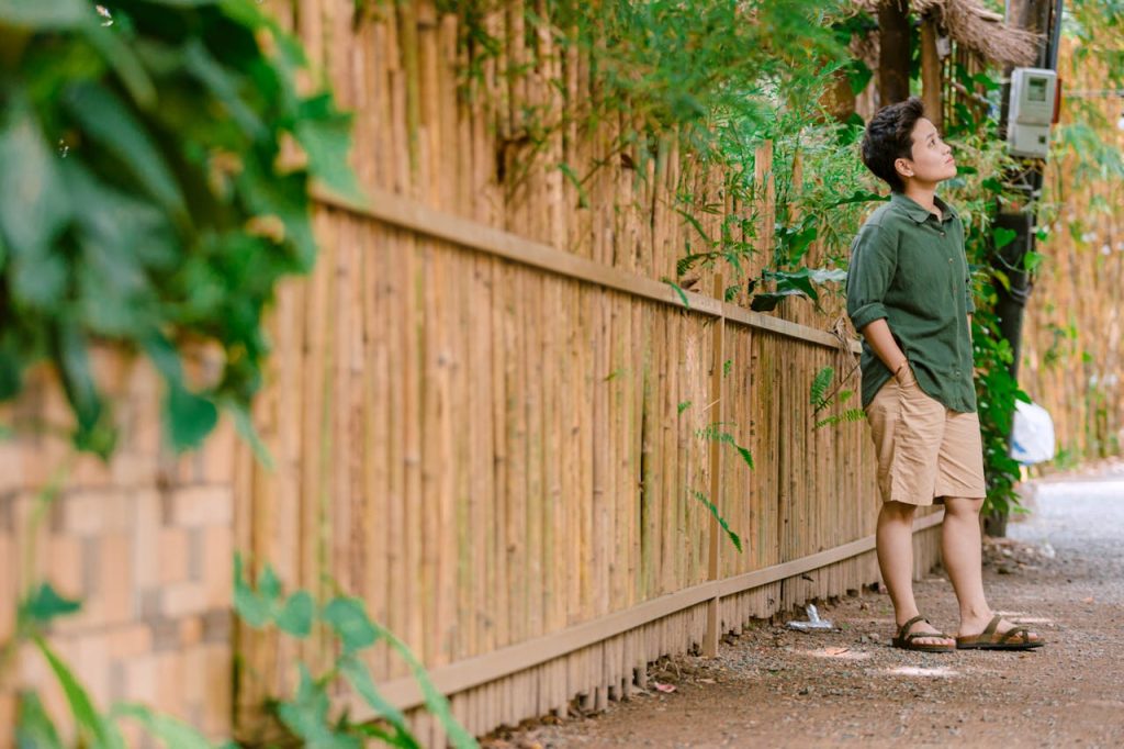 bamboo planting backyard