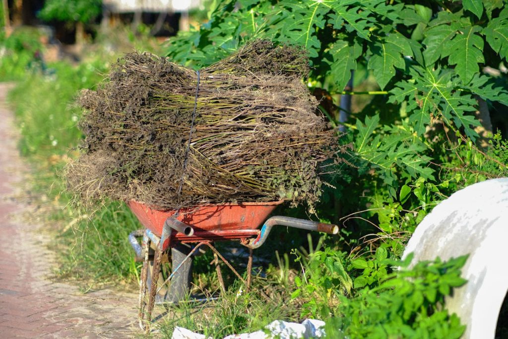 aggressive weed garden bed