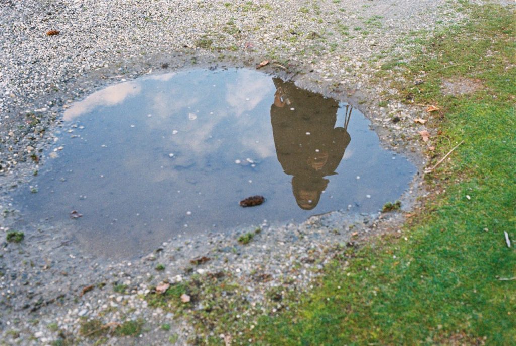 Rainwater Puddles garden