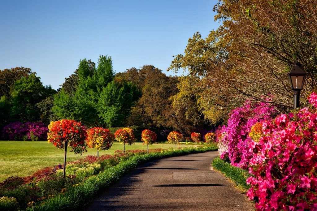 meadow garden path border