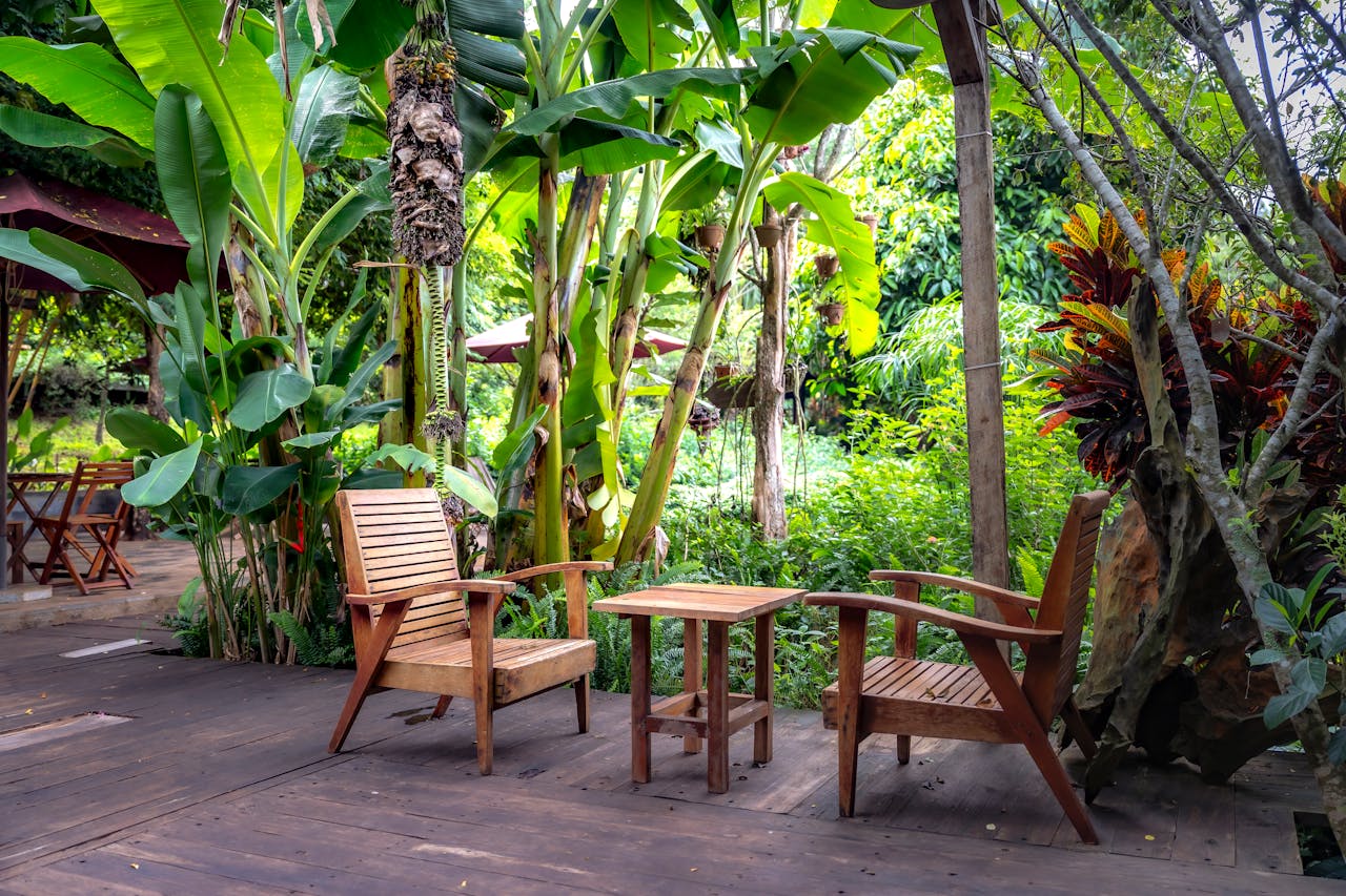 front yard vegetable garden shade