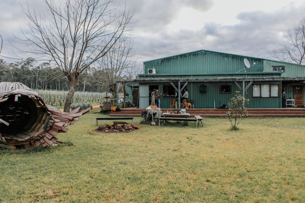 lawn meets woods no border backyard edge