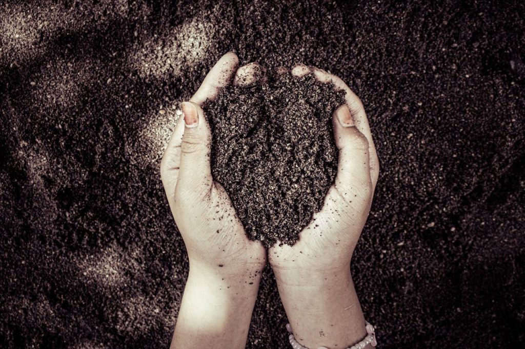 rich soil farmer hands