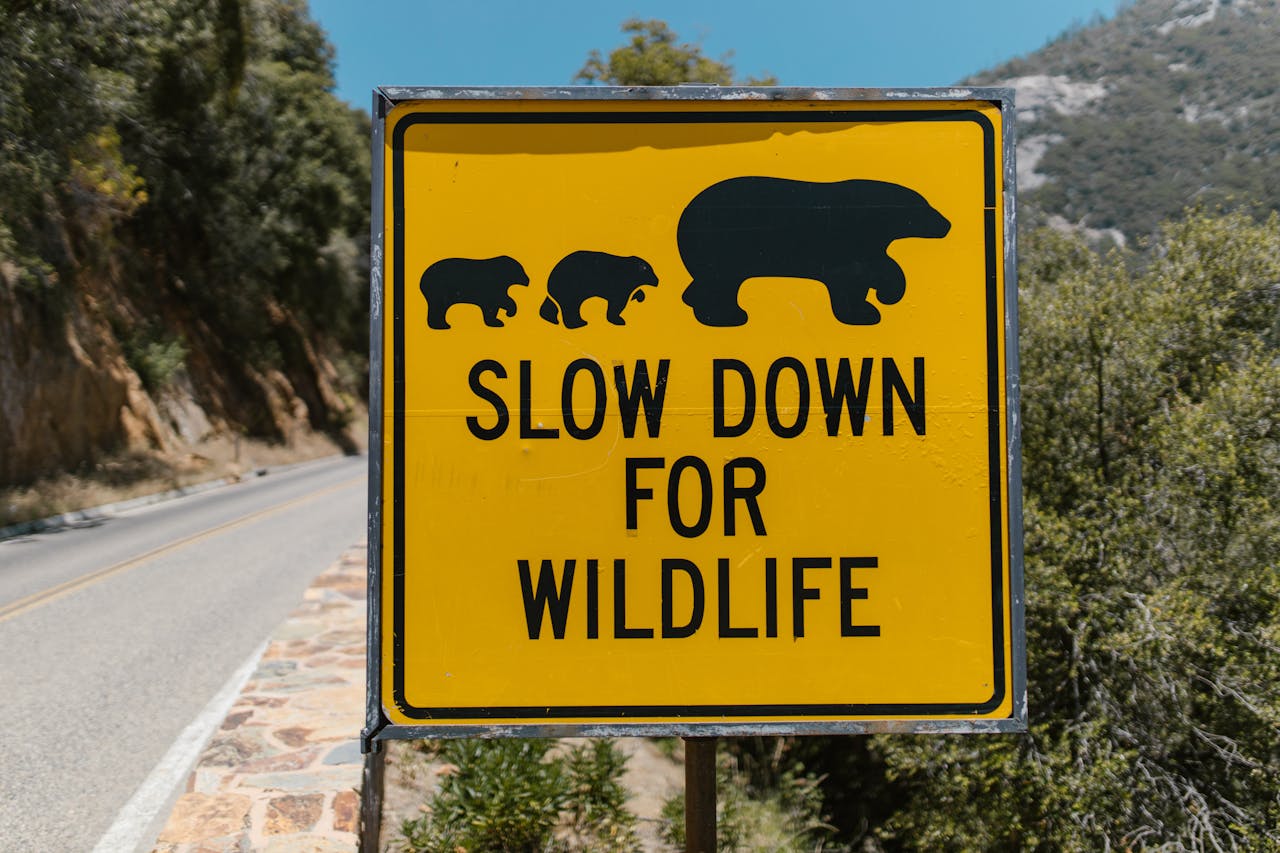 wildlife warning