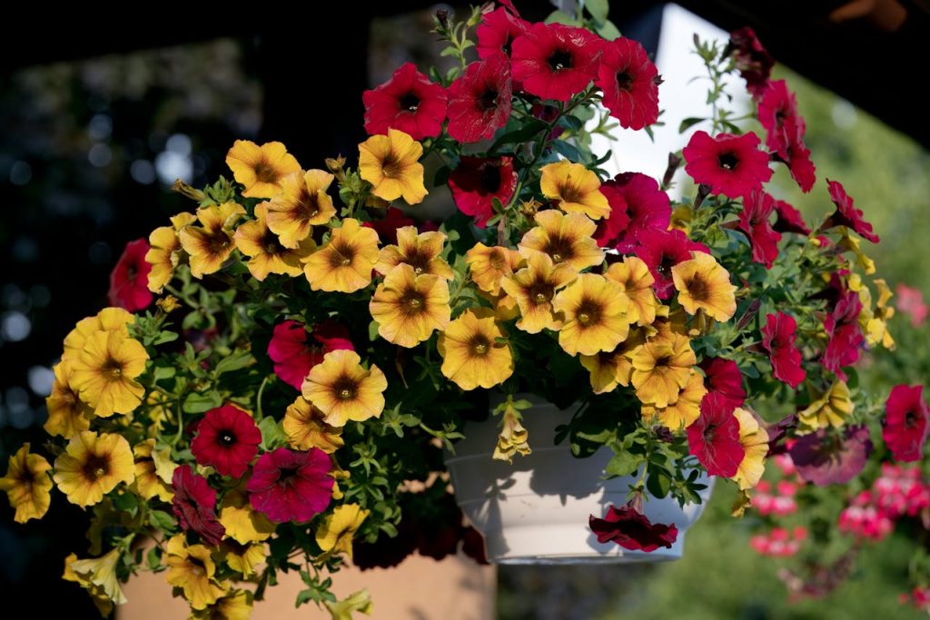 plant pot drainage hole