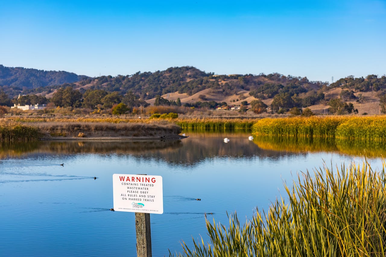 Wildlife Officials Warn 13 Animals You Should Never Release Into the Wild