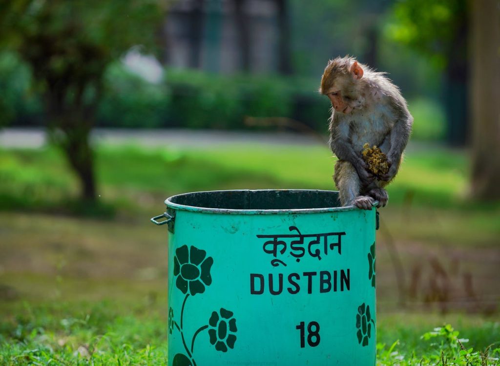 dustbin