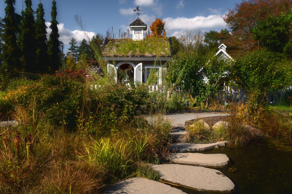tall grass fence line backyard weeds