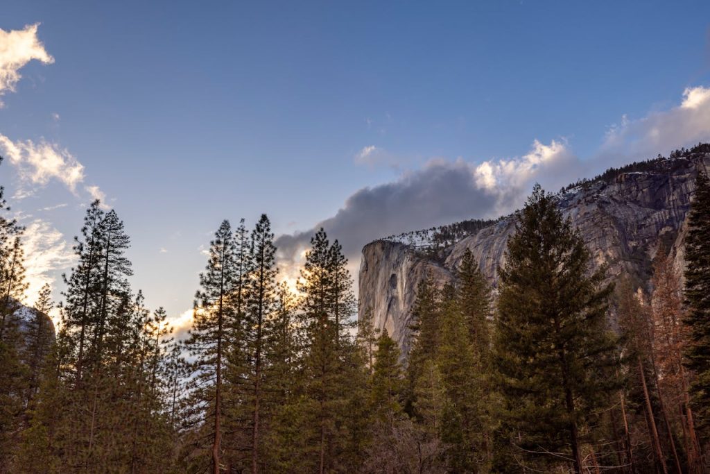 yosemite park