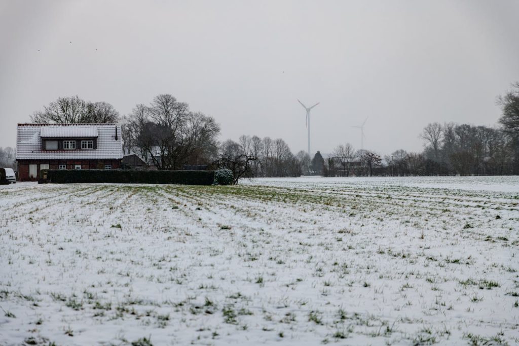 farms in winter