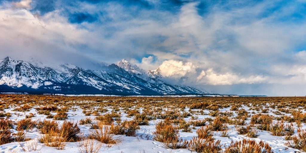 Wyoming mountain wilderness cougar habitat