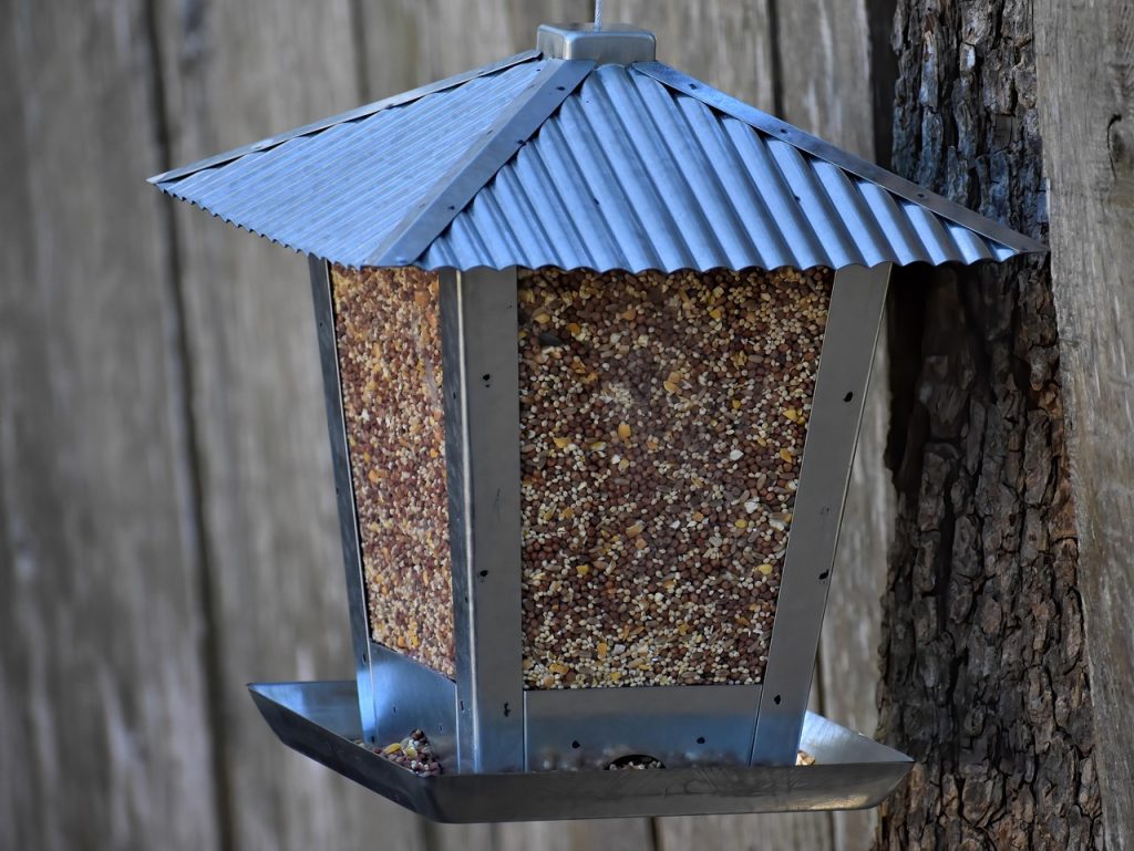 bird-feeder