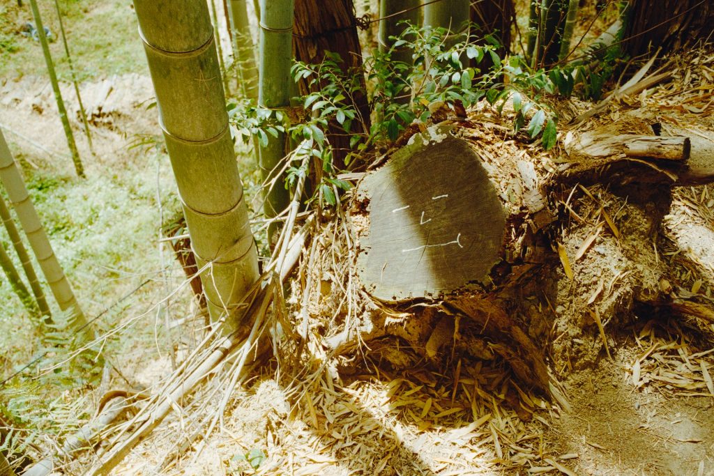 HDPE root barrier installation