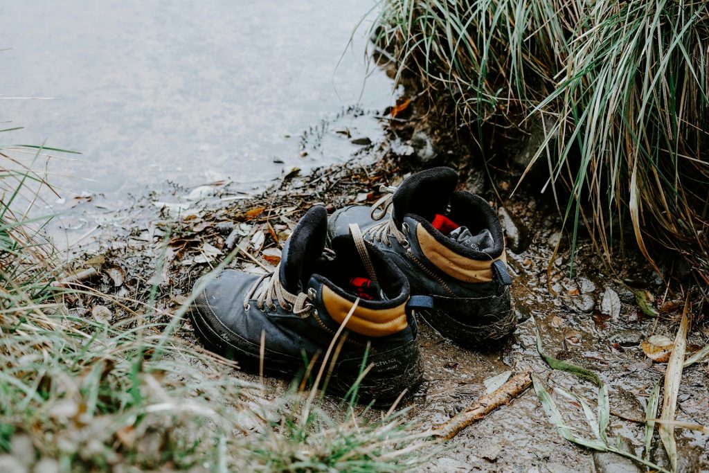 boot brush station invasive species trailhead