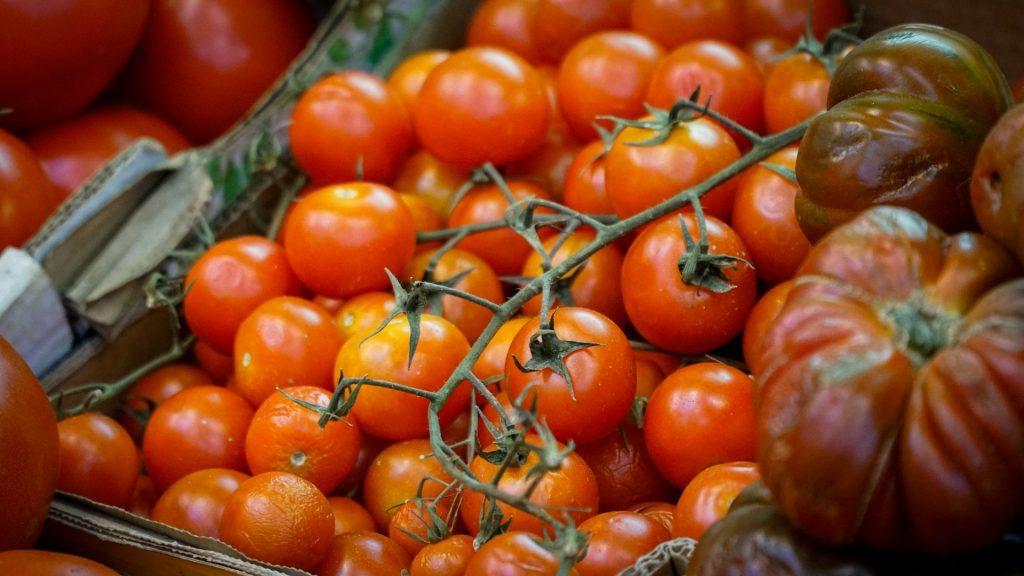 ripe tomatoes farmers market