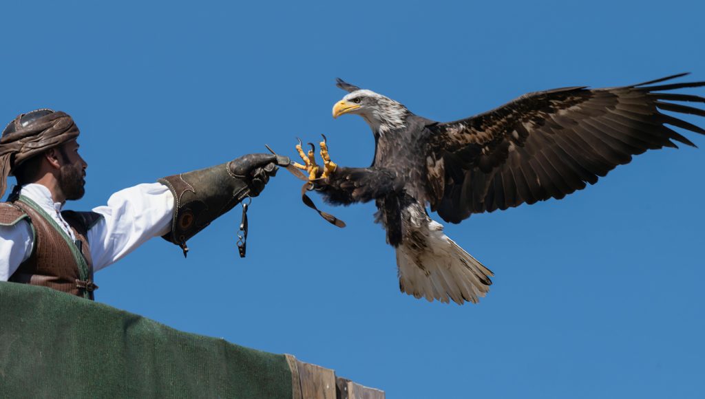 Wildlife Encounters That Escalated Before People Realized What Was ...