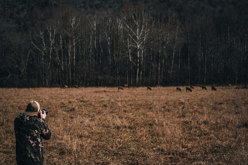 Scientists Say Environmental Changes Are Altering Animal Behaviour—And ...