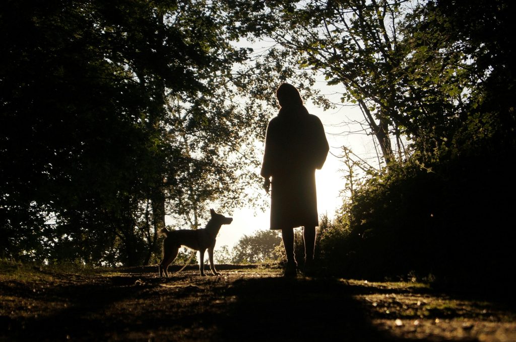 Animal Behaviours That Experts Say People Often Misread and How ...